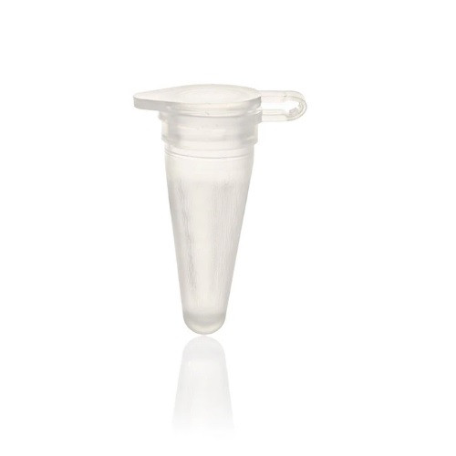 Applied Biosystems™ MicroAmp™ Fast Reaction Tube with Cap, 0.1 mL